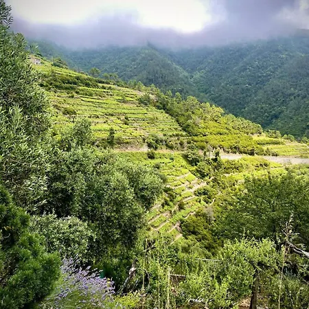 Tatil Evi Cinque Terre - House & Garden Paradise *