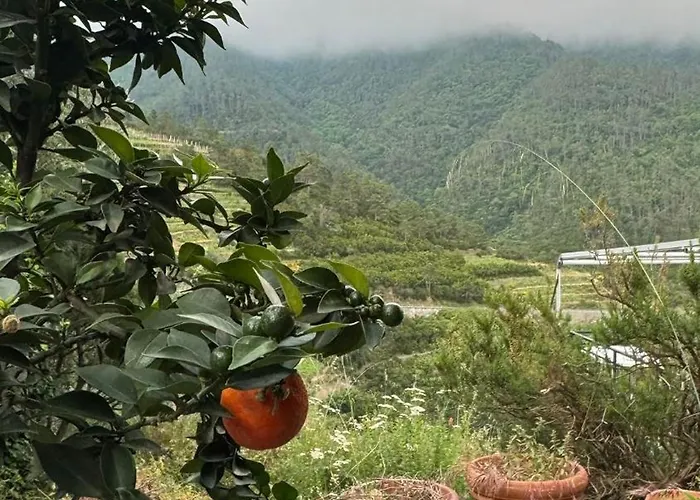 Casa de Férias Cinque Terre - House & Garden Paradise